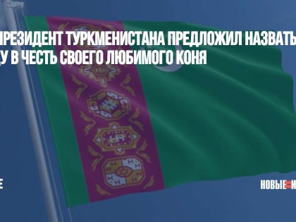 Экс-президент Туркменистана предложил назвать улицу в честь своего любимого коня