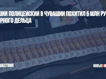 Бывший полицейский в Чувашии похитил  5 млн рублей у игорного дельца