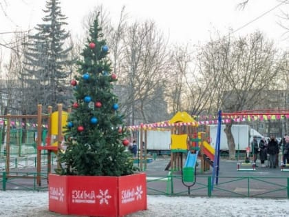 В Подольске более 150 елей украсят к Новому году