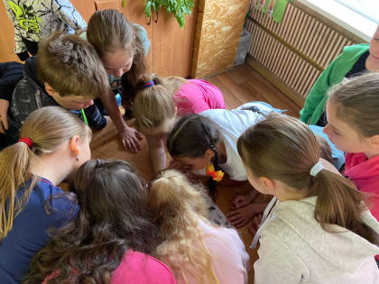 Второй день «Умных каникул» для учащихся 4-х классов гимназии № 7 города Лыткарино начался интересно и насыщенно