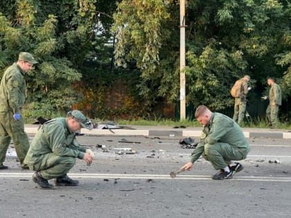 В обстоятельствах гибели дочери Дугина в Подмосковье разбираются следователи