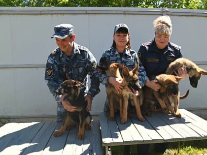 В питомнике при ИК-6 УФСИН Подмосковья состоялся выпуск собак