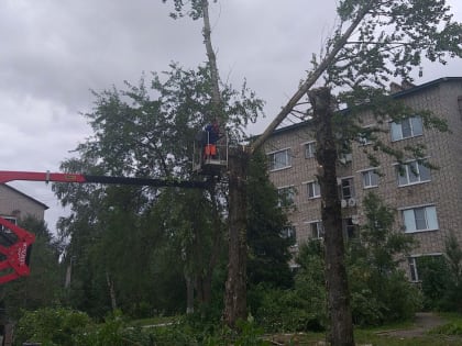 В Рузском округе проводится опиловка деревьев