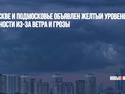 В Москве и Подмосковье объявлен желтый уровень опасности из-за ветра и грозы