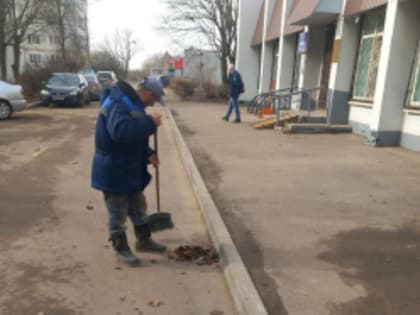 В Лобне стартовал месяц чистоты и благоустройства