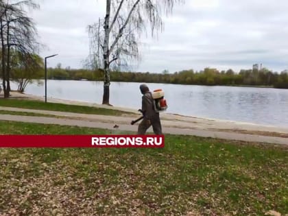 Безопасность города: акарицидная обработка общественных пространств в Долгопрудном