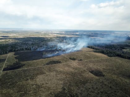 За первую неделю августа в Подмосковье ликвидировано 26 пожаров