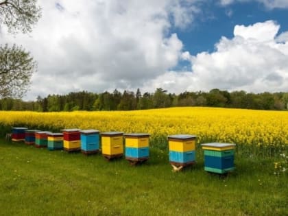 Жителей Павловского Посада проинформировали о необходимости соблюдения установленных регламентов и правил применения пестицидов и агрохимикатов