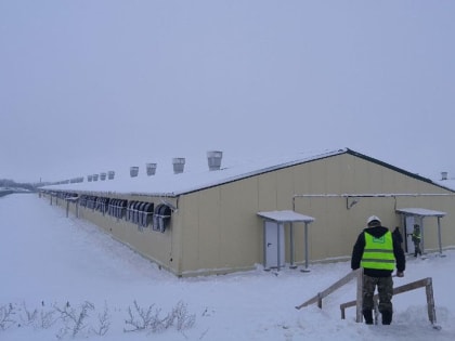 Девять сельскохозяйственных комплексов возвели в Подмосковье