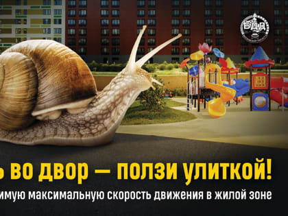 Снижаем скорость – сохраняем жизнь!