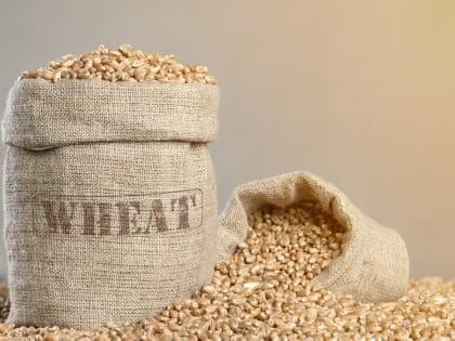 РБК: Украинские порты Николаев и Ольвия не возобновят работу в рамках зерновой сделки