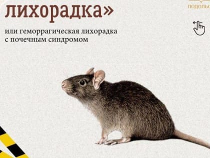 Уважаемые жители Г. о. Подольск, будьте осторожны, избегайте контакта с дикими грызунами!