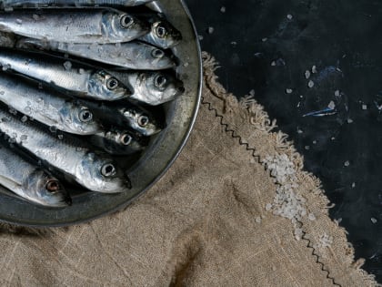 Врач Есипова рекомендовала регулярно есть мойву для укрепления костей