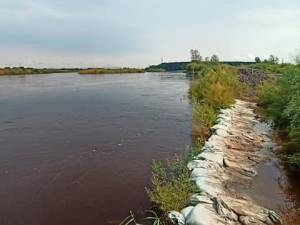 Глава Белогорска просит не купаться в Томи: Похороны выйдут дороже, чем посещение бассейна