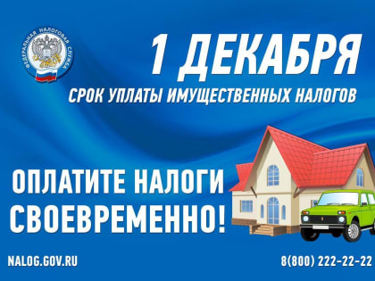 1 декабря - срок уплаты имущественных налогов
