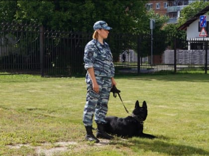 В Павловском Посаде полицейские провели акцию «Профессия — кинолог и его верный друг»