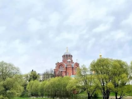 Почти 9 га земли предоставили Русской православной церкви в Подмосковье в этом году