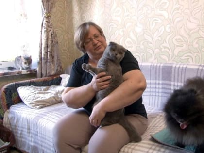 Кото-волонтёр из Орехово-Зуева