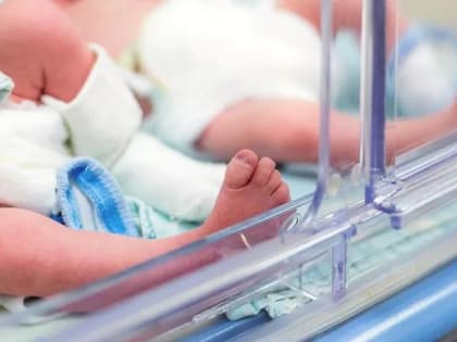 Врачи в роддоме Подольска спасли 14 недоношенных детей с начала апреля