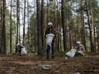 Активисты «Молодой Гвардии» провели экологическую акцию в подмосковной Кашире