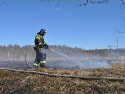 Более 1500 палов травы потушили огнеборцы ГКУ МО «Мособлпожспас» с начала пожароопасного сезона