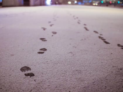 В столичном регионе прошел снег