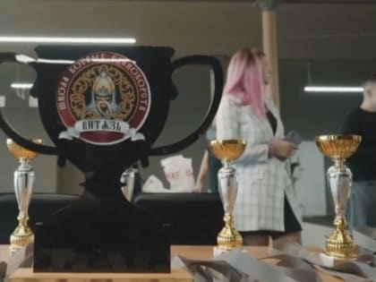 Фестиваль на кубок Школы Боевых Единоборств 