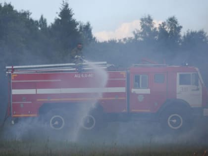 В Егорьевском, Луховицком и Ногинском лесничествах потушили пожары