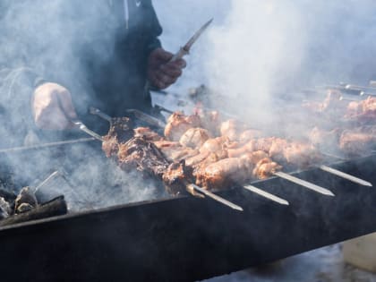 За шашлыки в лесах Звенигорода могут оштрафовать на ₽60 тыс.