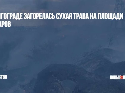 В Волгограде загорелась сухая трава на площади 15 гектаров