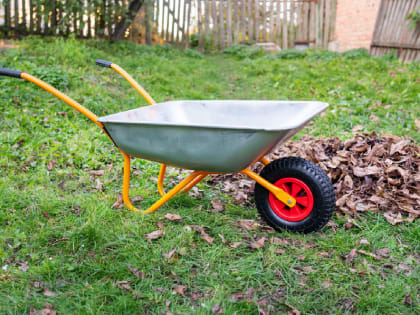 В Петербурге выросли продажи товаров для дачи, несмотря на рост цен