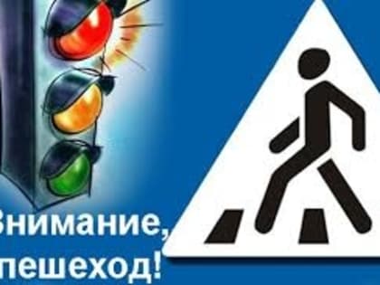 В целях профилактики уровня аварийности с участием пешеходов сотрудники 5 батальона ДПС с 22 по 28 апреля 2024 года проводят профилактическое мероприятие «Пешеход»