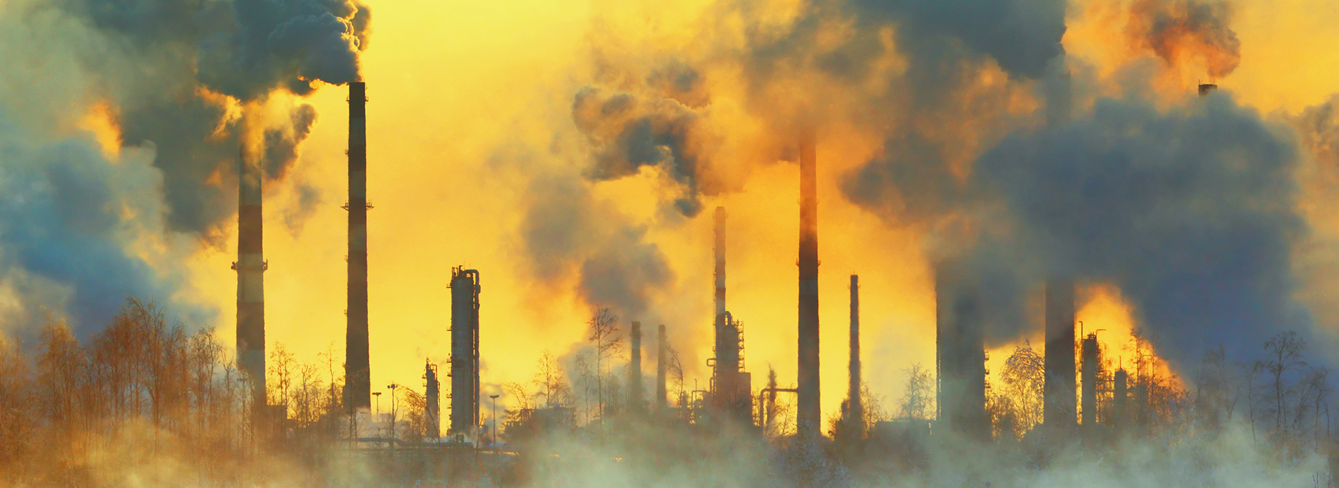 Peltra Why Pollution is Rising in India – How Biomass Pellets & Peltra Energy ...