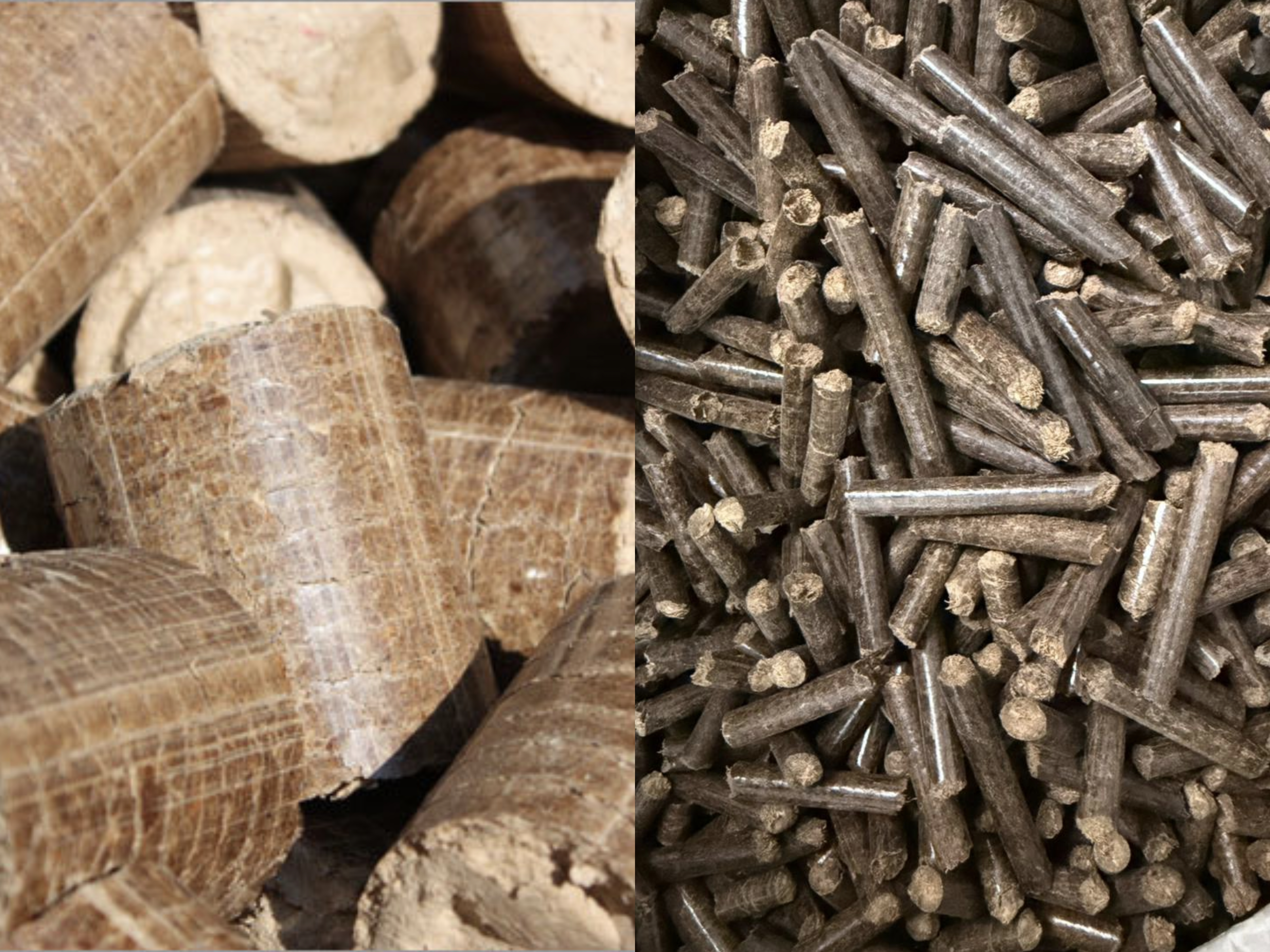 Biomass pellets vs briquettes