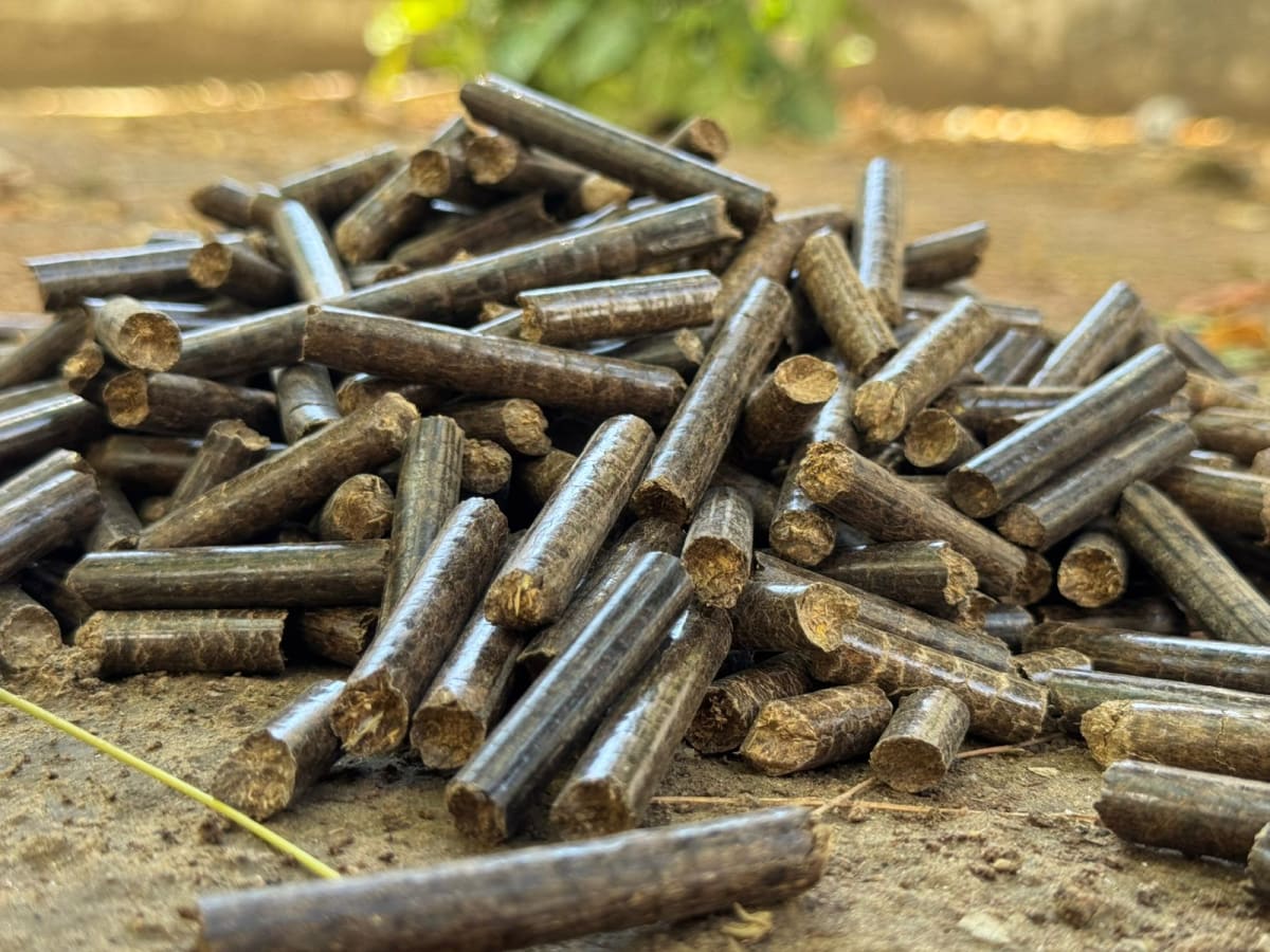 What are biomass pellets?