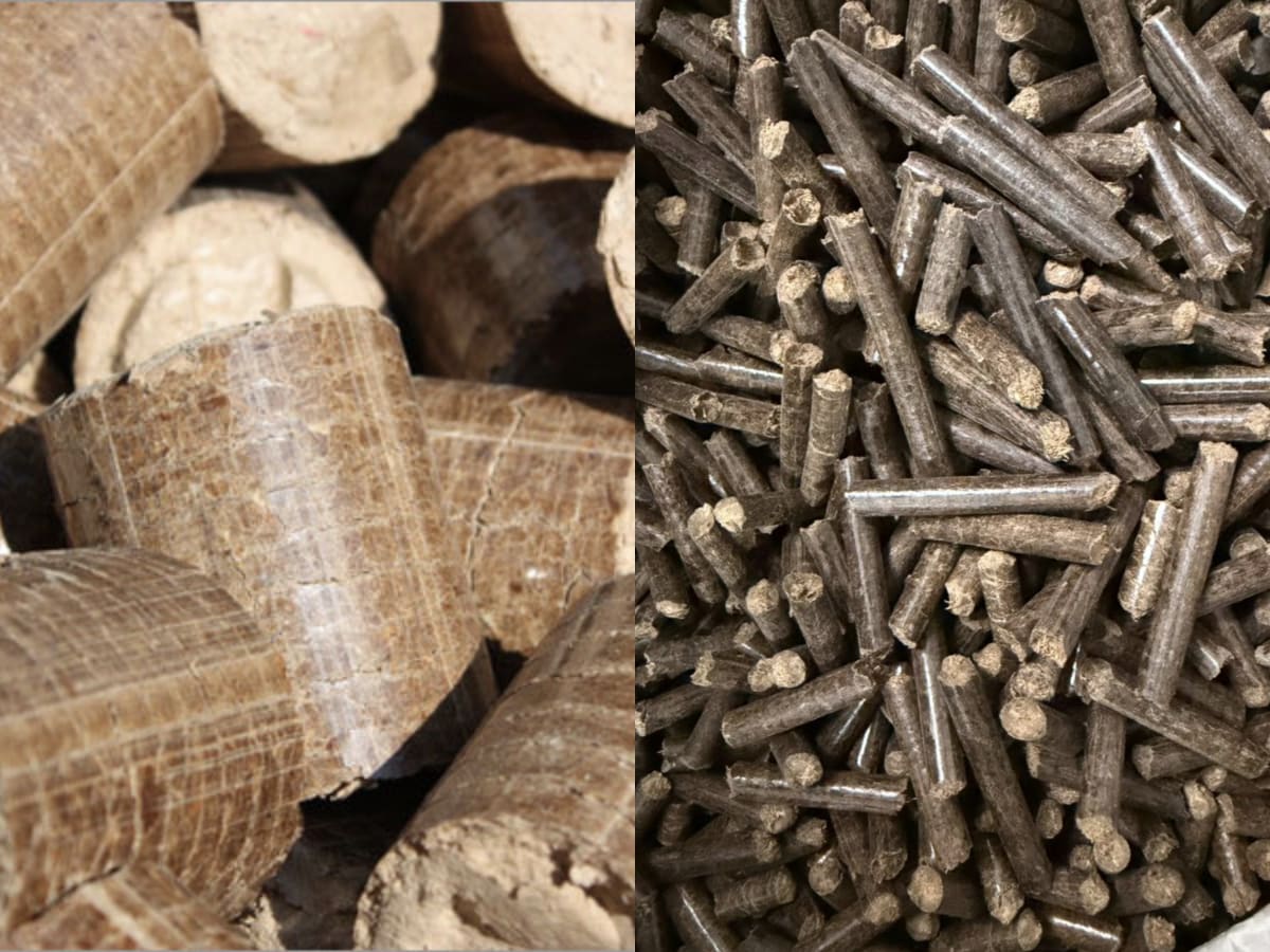 Biomass pellets vs briquettes