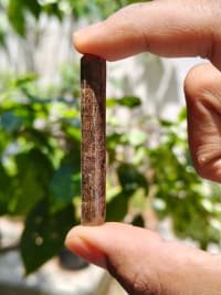 Paddy Straw Pellets for Mushroom Farming & Burning thumbnail 4