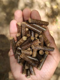 Paddy Straw Pellets for Mushroom Farming & Burning thumbnail 2