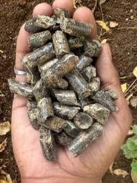 Pine Wood Pellets For Mushroom Farming & Burning thumbnail 2