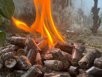 Pine Wood Pellets For Mushroom Farming & Burning thumbnail 4