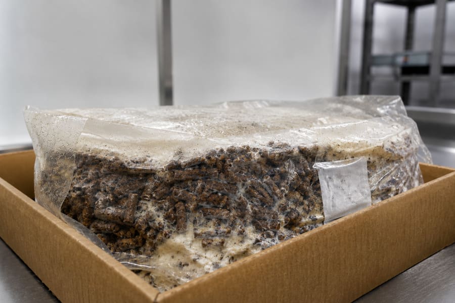 Hydrated mushroom substrate pellets ready to bag