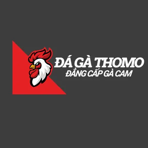 <strong>Đá gà Thomo</strong> Môn thể thao giải trí truyền thống của Campuchia