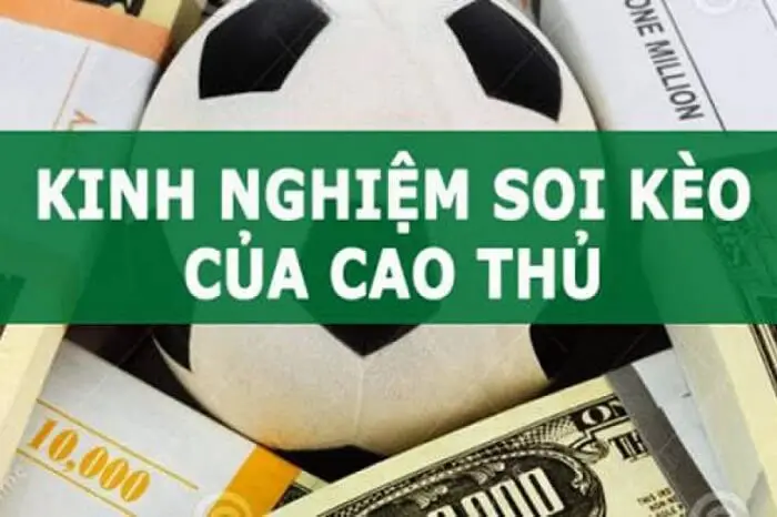 How to Analyze Bookmaker Odds with a Win Rate of Up to 99.99% Extremely accurate football betting guide for players – Vietnam Global Team