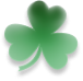 100% Irish Owned & Operated