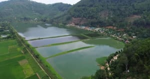 Làm rõ nguyên nhân cá chết tại hồ Đồng Nững