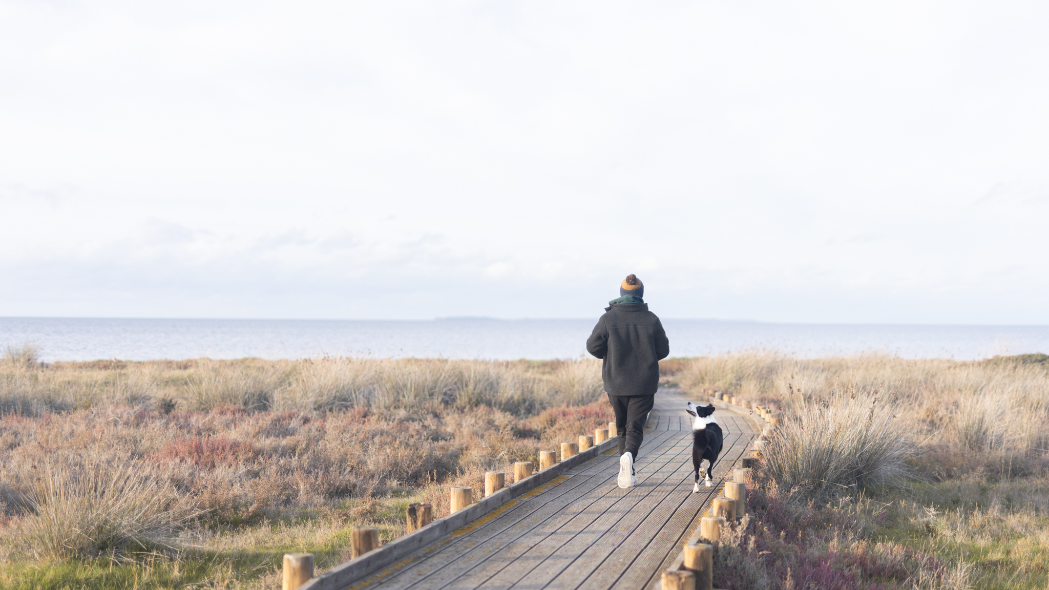 טאז בסרדיניה