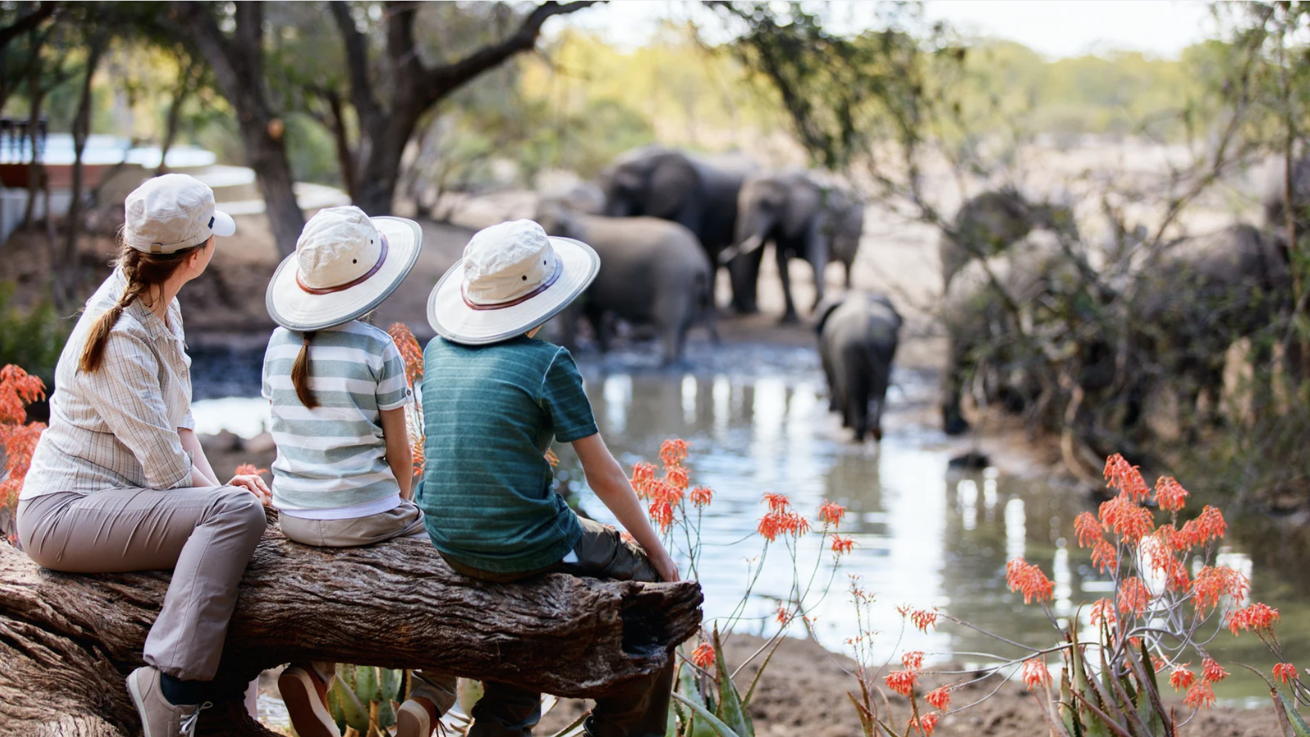 Wildlife Safaris & Expeditions