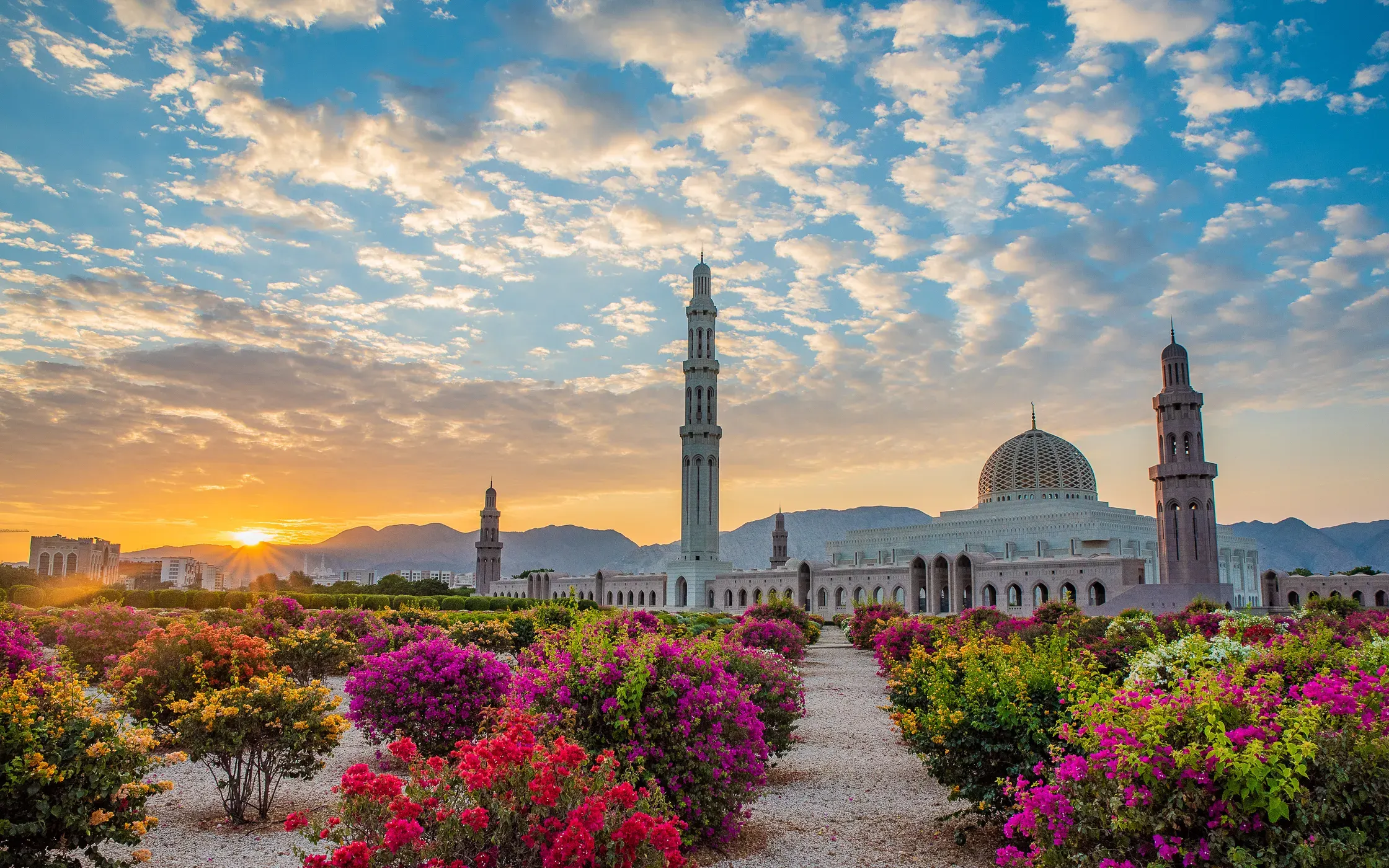 Oman in 8 Days: A Journey Through the Arabian Peninsula's Best Kept Secret