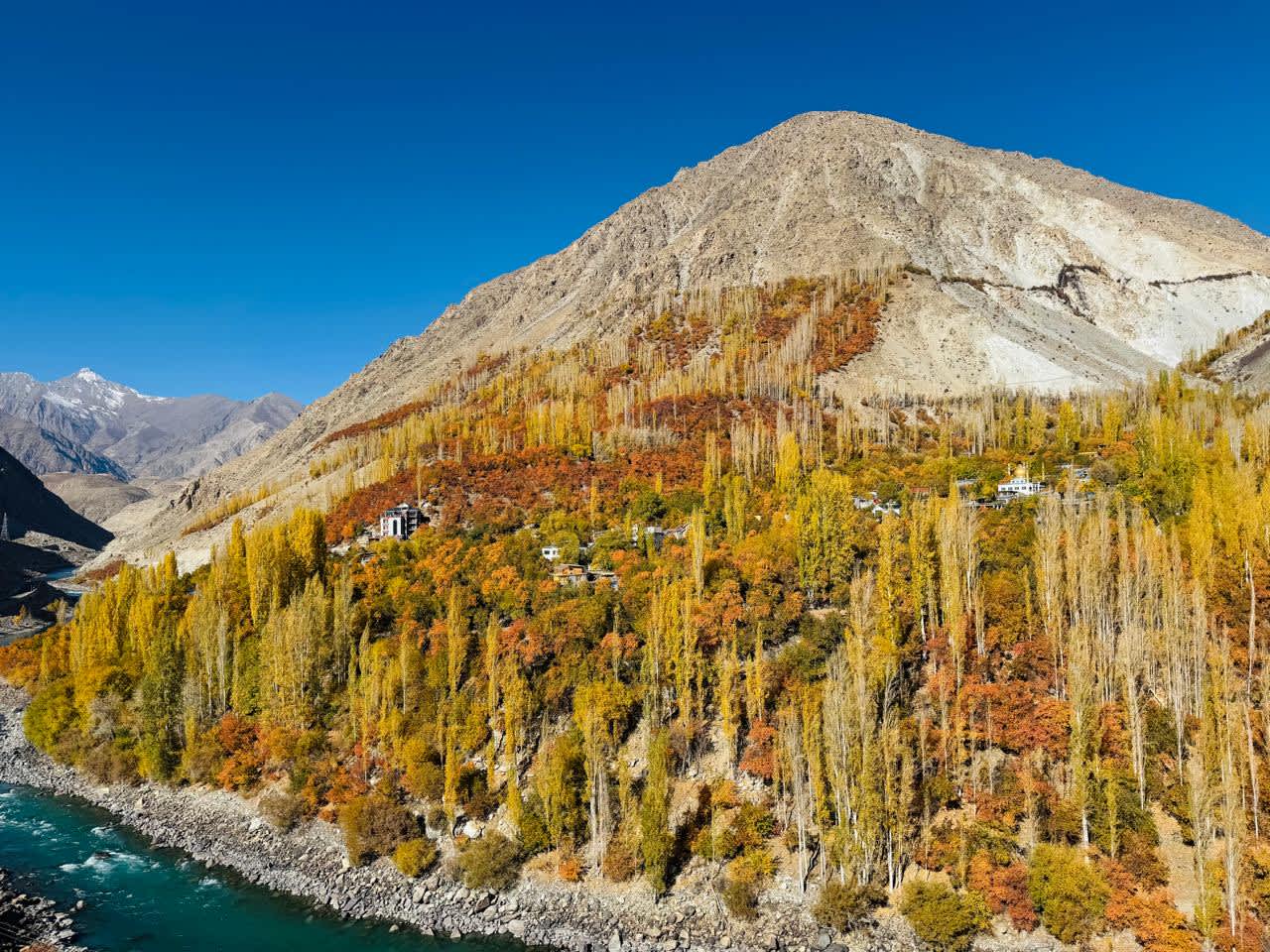 Kargil Apricot Harvest Expedition