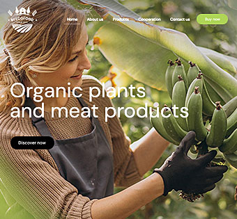 Featured Image for Eco Food